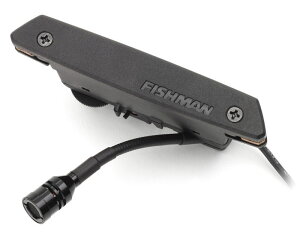 Fishman Rare Earth Mic Blend [sAi][Ai]ytBbV}zyAA[XuhzyViz