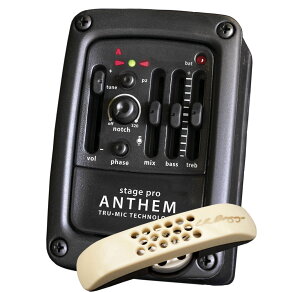 L.R.Baggs StagePro Anthem Tru-Mic Pickup System [sAi][Ai]yGA[obOXzyAZzyViz