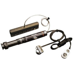 L.R.Baggs iBEAM Active [���s�A���i][���A���i]�y�G���A�[���o�b�O�X�z�y�V�i�z