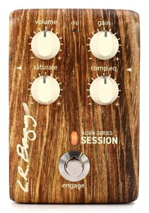 L.R.Baggs ALIGN SERIES SESSION [���s�A���i][���A���i]�y�G���A�[���o�b�O�X�z�y�V�i�z