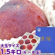 山梨県産 貴陽 秀品 大玉サイズ 約1.5kg知る人ぞ知る最高級プラム御中元 ギフト プレゼント プラム 貴陽…