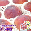 山梨県産 貴陽 ご家庭用 大玉サイズ 約1.5kg知る人ぞ知る最高級プラムお中元 ギフト プレゼント プラム 貴陽北海道、沖縄、一部離島は別途1,000円