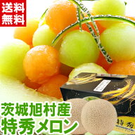 茨城県 JA茨城旭村 特秀メロン 3Lサイズ 糖度16度以上のプレミアムメロンを厳選！北海道、沖縄は別途1,00…