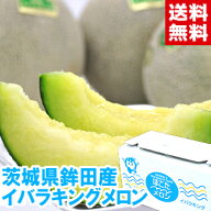 茨城県鉾田産 イバラキングメロンネット系大衆青肉メロンの王者！北海道、沖縄は別途1,000円
