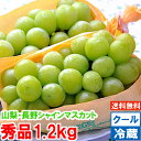 山梨・長野県産 大房シャインマスカット秀品 3Lサイズ 1.2kg（2房入り）グルメ大賞「ブドウ部門」通算4度受賞!!鮮度維持のため冷蔵便で発送いたします！どんな猛暑でも安心です♪北海道、沖縄、一部離島は別途1,000円