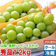 山梨・長野県産 大房シャインマスカット秀品 3Lサイズ 1.2kg（2房入）グルメ大賞「ブドウ部門」通算4度受…