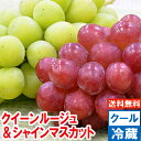 クイーンルージュ＆シャインマスカット完全赤字覚悟の大奉仕価格！皮ごと食べれる新品種が夢の競演！北海道、沖縄は別…