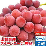 山梨県産クイーンニーナ 秀品プロの間で大注目の赤色ぶどう濃厚な甘味と豊かな香りは絶品♪北海道、沖縄…