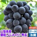 山梨県産 種なし藤稔（ふじみのり）秀品ピオーネを進化させた大粒ブドウぶどう 藤稔 ふじみのり 送料無料北海道、沖縄、一部離島は別途1,000円