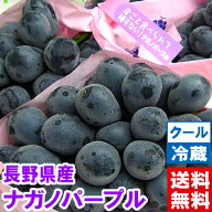 長野県産 ナガノパープル 秀品高評価レビューが物語る驚きの美味しさ!!皮ごと食べられる黒系ブドウ♪北海…