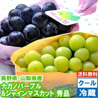 ナガノパープル＆シャインマスカット 秀品高評価レビューが物語る驚きの美味しさ!!皮ごと食べられるブド…