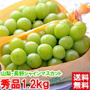 山梨・長野県産 大房シャインマスカット秀品 3Lサイズ 1.2kg（2房入り）グルメ大賞「ブドウ部門」通算4度受賞!!北海道、沖縄、一部離島は別途1,000円