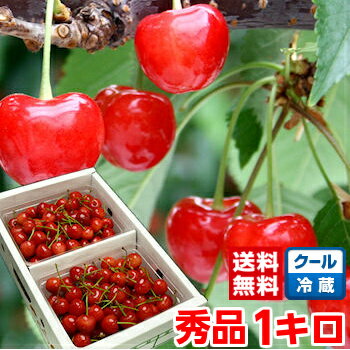 楽天市場 山形産さくらんぼ 佐藤錦 紅秀峰 大将錦 しずおか夢工房