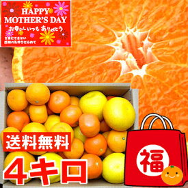 母の日 プレゼント ギフト個性豊かな果汁たっぷり♪5種類以上の柑橘が楽しめる初夏の柑橘福袋 4kg北海道、沖縄・一部離島は発送不可
