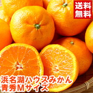 安心の光センサー選果！静岡県産 浜名湖ハウスみかん青秀2kg（バラ詰め）数量限定の赤字覚悟販売！北海道…