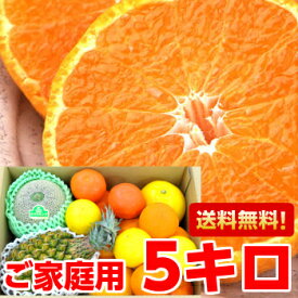 初夏のフルーツ福袋 たっぷり5kg個性豊かな果汁たっぷり♪5種類以上の旬のフルーツが楽しめる北海道、沖縄、一部離島は別途1,000円