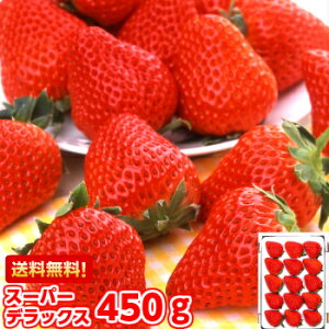 Ε Mtg  gقؔZȊÖIÉ܂É炿YnI嗱gق؂X[p[fbNX450gi12`15jkCAAꕔ͕ʓr1,000~