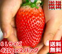 入手困難！一株に1個しかならない巨大な実静岡県産 超大粒章姫いちご420g（9粒）×2パックお届けに2日以上かかる地域…