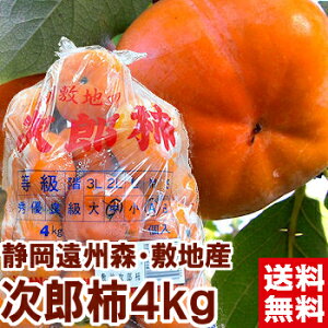 ÉBXE~nY Y` Yn4kg` Y` ÉYkCAAꕔ͕ʓr1,000~