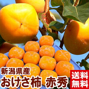 新潟県産 おけさ柿 赤秀種なしだからとっても食べやすい♪柿 おけさ柿 新潟県産北海道、沖縄、一部離島は別途1,000円
