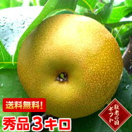まだ間に合う 敬老の日 ギフト フルーツ樹成り完熟大玉豊水梨3kg光センサーでトップクラスの13度保障♪敬…