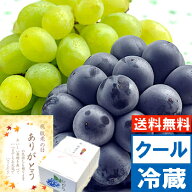 遅れてごめんね 敬老の日 ギフト フルーツナガノパープル＆黄華（おうか）秀品1.1キログルメ大賞ブドウ部…