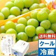 敬老の日 ギフト フルーツシャインマスカット 秀品1.2kg（2房）グルメ大賞ブドウ部門通算4度受賞！種がな…