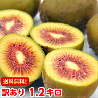 山梨県産 レインボーレッド1.2kg全国でも数箇所しか栽培されていない常識を覆すほど甘〜い♪キウイフルー…