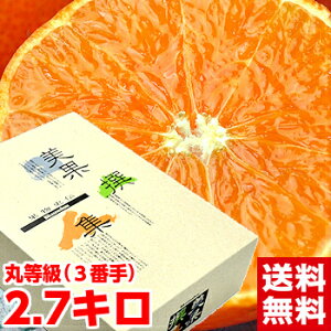 QY g܂ǂ 2.7kg݂񉤍uQv̋MwlIΕ Mtg g܂ǂ kCAAꕔ͕ʓr1,000~