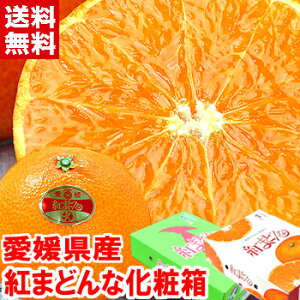 QY g܂ǂ 2.7kgiϔj݂񉤍uQv̋MwlIΕ Mtg g܂ǂ kCAAꕔ͕ʓr1,000~