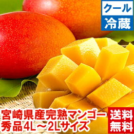 宮崎県産完熟マンゴー 秀品自然落下まで樹上完熟させた果汁は絶品！北海道、沖縄、一部離島は別途1,000円