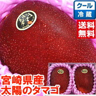 宮崎県産 太陽のタマゴ宮崎マンゴーの最高峰！北海道、沖縄は別途1,000円