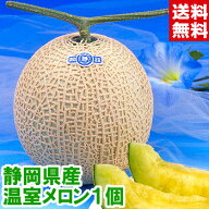 静岡県産 大玉温室メロン1個（化粧箱入り）生産地ならではのこだわりメロン御中元 送料無料 夏 ギフト メ…