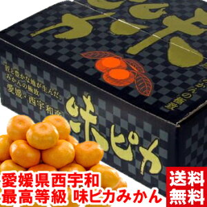 QY Fa sJ ݂ʐIx12xȏʑIʂ݂񉤍uQṽv~AIΕ Mtg ݂ sJkCAAꕔ͕ʓr1,000~