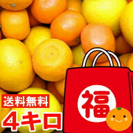 個性豊かな果汁たっぷり♪春の柑橘福袋4kg5品種以上混合・高級柑橘入り北海道、沖縄、一部離島は別途1,00…