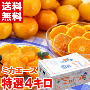 xnO݂~JG[X I4kgO_̍ōuh12{甭JnƂȂ܂Ε Mtg ~JG[X OP݂ O݂kCAAꕔ͕