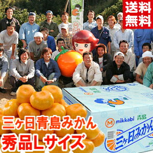 Nz Mtg O݂ O݂ij GiLTCYŠZT[IʁIʂÉ̐݂Zȉʏ`͑ȏłkCAAꕔ