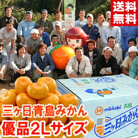 ギフト みかん 三ヶ日みかん 青島三ヶ日みかん（青島） 優品2Lサイズ安心の光センサー選果！大玉こそ美味しい静岡県の青島みかん濃厚な果汁は早生種以上です♪北海道、沖縄、一部離島は別途1,000円