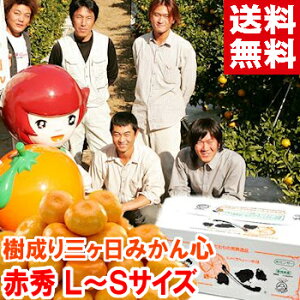 芮nO݂ S ԏG12{甭JnƂȂ܂ŠZT[IʁI܂_炩`ił􂨍Ε Mtg ݂ O݂kCAAꕔ͕ʓr