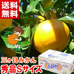 O݂ij GiSTCYʐiȂGiII܂_炩|Ïkꂽ􂨍Ε Mtg ݂ O݂kCAAꕔ͕ʓr1,000~