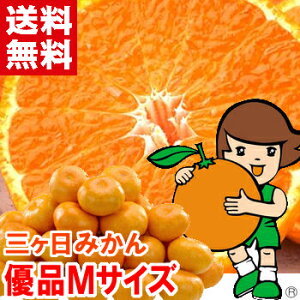 O݂ij DiMTCYŠZT[IʁI܂_炩`ił􂨍Ε Mtg ݂ O݂kCAAꕔ͕ʓr1,000~