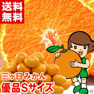 三ヶ日みかん(早生)優品Sサイズ安心の光センサー選果!中袋が柔らかく旨味が凝縮された♪お歳暮 ギフト みかん 三ヶ日みかん北海道、沖縄、一部離島は別途1,000円