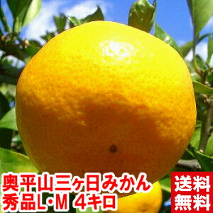 奥平山 三ヶ日みかん 秀品LMサイズ4kg入手困難!知る人ぞ知るブランド産地品評会で上位入賞の名人が作る濃厚みかんギフト みかん 三ヶ日みかん 奥平山北海道、沖縄、一部離島は別途1,000円