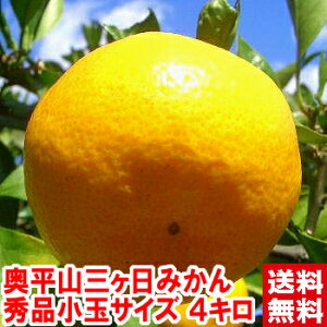 Mtg ݂ O݂ R荢ImlmuhYni]ŏʓ܂̖l鉜RO݂ 4kgkCAAꕔ͕ʓr1,000~