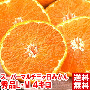 X[p[}`nO݂GiL܂MTCY4KgЂƖႤZʏ`͐iMtg ݂ O݂kCAAꕔ͕ʓr1,000~