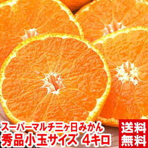 X[p[}`nO݂Gi ʃTCY4kgЂƖႤZʏ`͐ikCAAꕔ͕ʓr1,000~