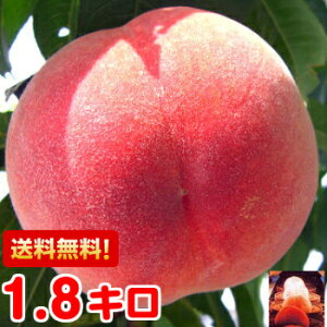 お中元 ギフト プレゼント もも 送料無料グルメ大賞「桃部門」通算6度受賞!!糖度13度保障のプレミアム特秀完熟もも1.8kg北海道、沖縄・一部離島は発送不可
