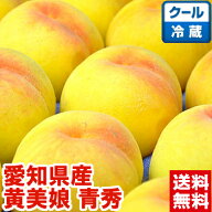 愛知県産とよたの黄美娘 青秀（ご家庭用）ハイテク光センサーで糖度チェック済み♪入手困難！幻と呼ばれ…