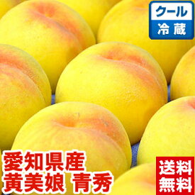 愛知県産とよたの黄美娘 青秀（ご家庭用）ハイテク光センサーで糖度チェック済み♪入手困難！幻と呼ばれる品種冷蔵便で発送します！桃 もも 黄美娘 フルーツギフト 送料無料 北海道、沖縄、一部離島は別途1,000円