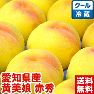 愛知県産とよたの黄美娘 赤秀ハイテク光センサーで糖度チェック済み♪入手困難！幻と呼ばれる品種冷蔵便…